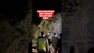 Download lagu POHON BERUSIA RATUSAN TAHUN TUMBANG DI SETRA ADAT SUWAT GIANYAR #trending #pohonpule #tumbang mp3