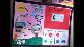Science TLM || CHART and model for Science || best tlm for Science || Project idea for Science||B.Ed