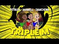 Pitbull Mawell Iamchino Triple M Remix Visualizer