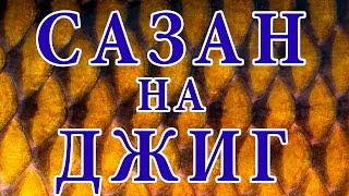 Снасти для ловли сазана на оби алтайский край