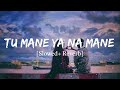 Tu Mane Ya Na Mane Dildara Lofi Song Rab Maneya Lofi Song Slowed Reverb Remix