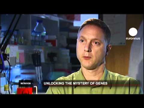euronews science - Epigenetics