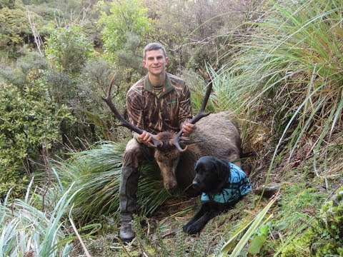 Hunting Red Deer - September 2018