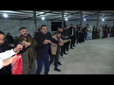 Barış Ergün Düğünü Part 1 ( Grup Welat Silopi ) 2024