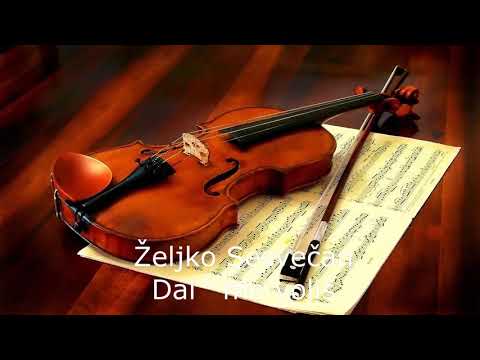 Željko Sesvečan - Dal´ me voliš