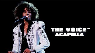 Whitney Houston | You&#39;re Still My Man | The Voice™ Acapella Edition | IM™ Audio Mastering