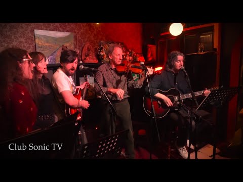 The Triffids And The Wonderful Songs Of David McComb