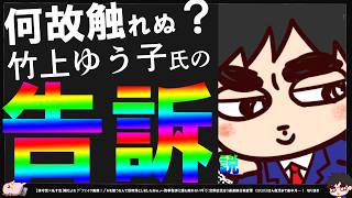【保守党×糺す会】フェイク画像ガー！はいいけど、経緯告訴に誰も触れないのは何故？^0^;【切り抜き】