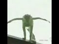 Alphabet With Kermit