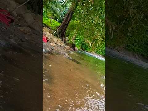Yendayar river — pure & clear