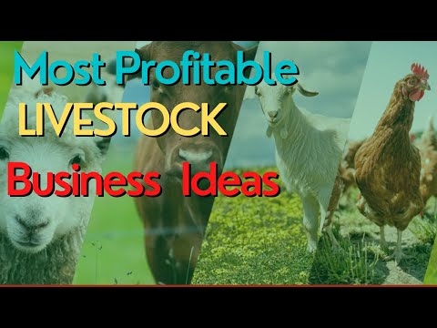 , title : 'Most Profitable Livestock Farming Business Ideas'