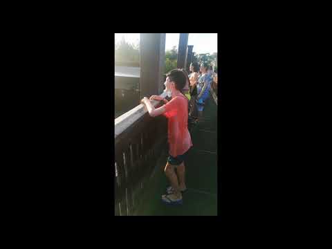 Mirabilandia 19/08/21 "Eldorado falls"