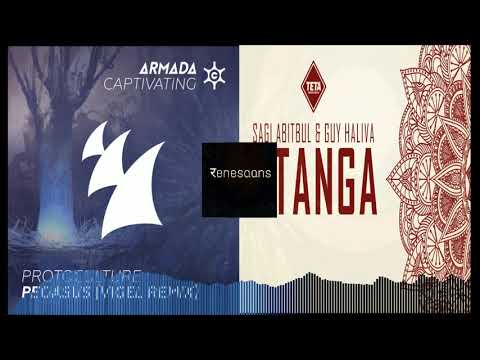 Protoculture X Guy Haliva X Sagi Abitbul - Stanga Vs. Pegasus (Armin van Buuren Mashup)