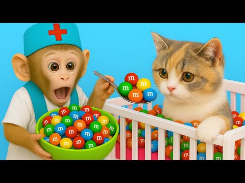 Monkey BeBe eats with the fluffy cat and buys kinger eggs at the supermarket! | MONKEY BEBE