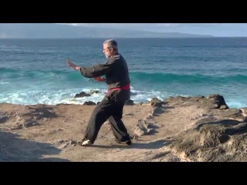 Living Kata   Bassai