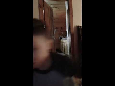 Almost as fast as the flash ( not really)