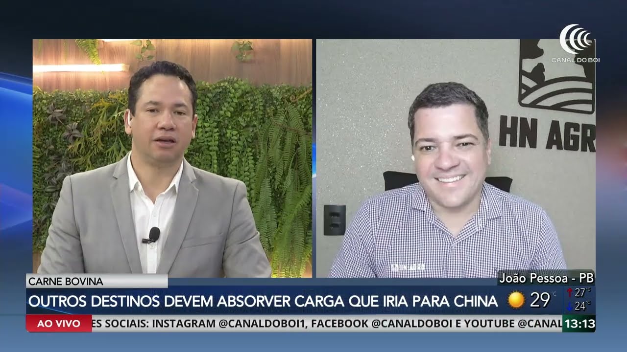 Mercado do boi gordo enfrenta pressão enquanto exportações buscam novos destinos