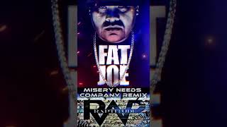 Fat Joe Misery Needs Company (Raptitude Beats Remix)