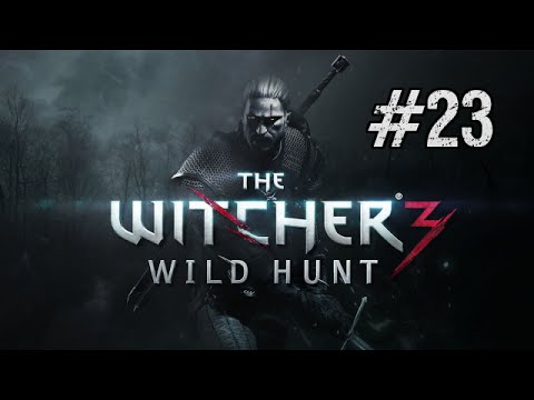 The Witcher 3: Wild Hunt BLIND Let's Play [Part 23] - Fightin' round the World