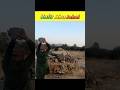 Kafir Abu Jahal Ka Anjam Abu Jahal Ki Kabr Islamic Shorts