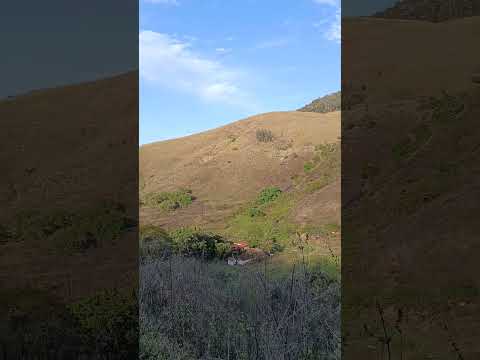 SR Floresta a Boa Sorte 74. Cantagalo RJ. #turismoruralenatureza #turismorural #trn