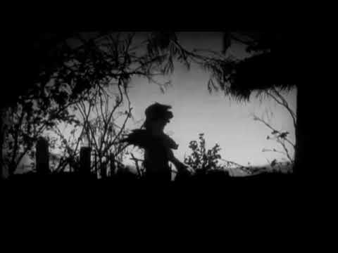 SVNTXMVLX Afterlife [Prod.Lord Wicked]