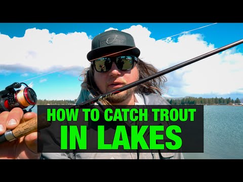 HOW To CATCH TROUT in Lakes - 3 EASY Techniques. (Pro Tips & TRICKS With Jordan Knigge)