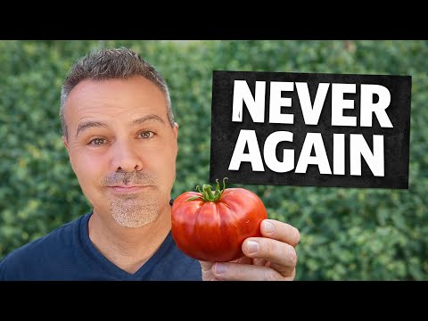 Tomatoes I’m Done Growing (And What I'm Planting Instead)