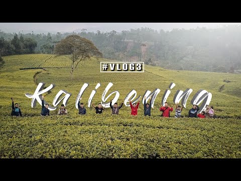 kebun-teh-kasinoman-kalibeningapvlog3