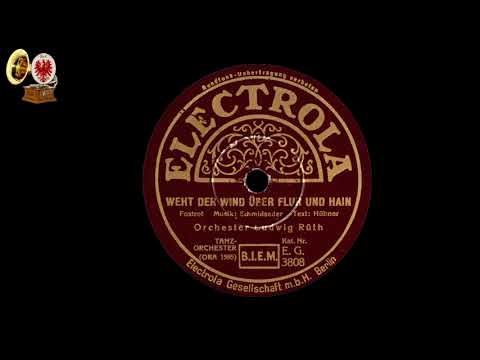 Weht der Wind über Flur und Hain - Orch. LUDWIG RÜTH