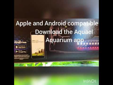 Aquael Leddy Link Part One Introduction