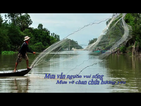 Mưa Sheet - Diệu Hiền