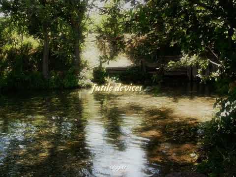 Sufjan Stevens - Futile Devices (𝙨𝙡𝙤𝙬𝙚𝙙 + 𝙧𝙚𝙫𝙚𝙧𝙗)