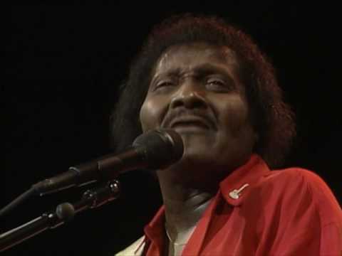 Albert Collins - "My Woman Has A Black Cat Bone" [Live from Austin, TX]