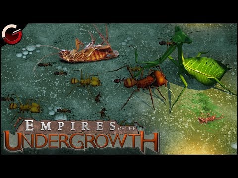 BUG FIGHTING BATTLE ARENA! Most Epic Insect Fight Scenes | Empires of the Undergrowth Gameplay
