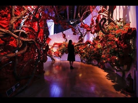 版築壁と滑らかなコンクリート床の廊下 Kendle Design Collaborative