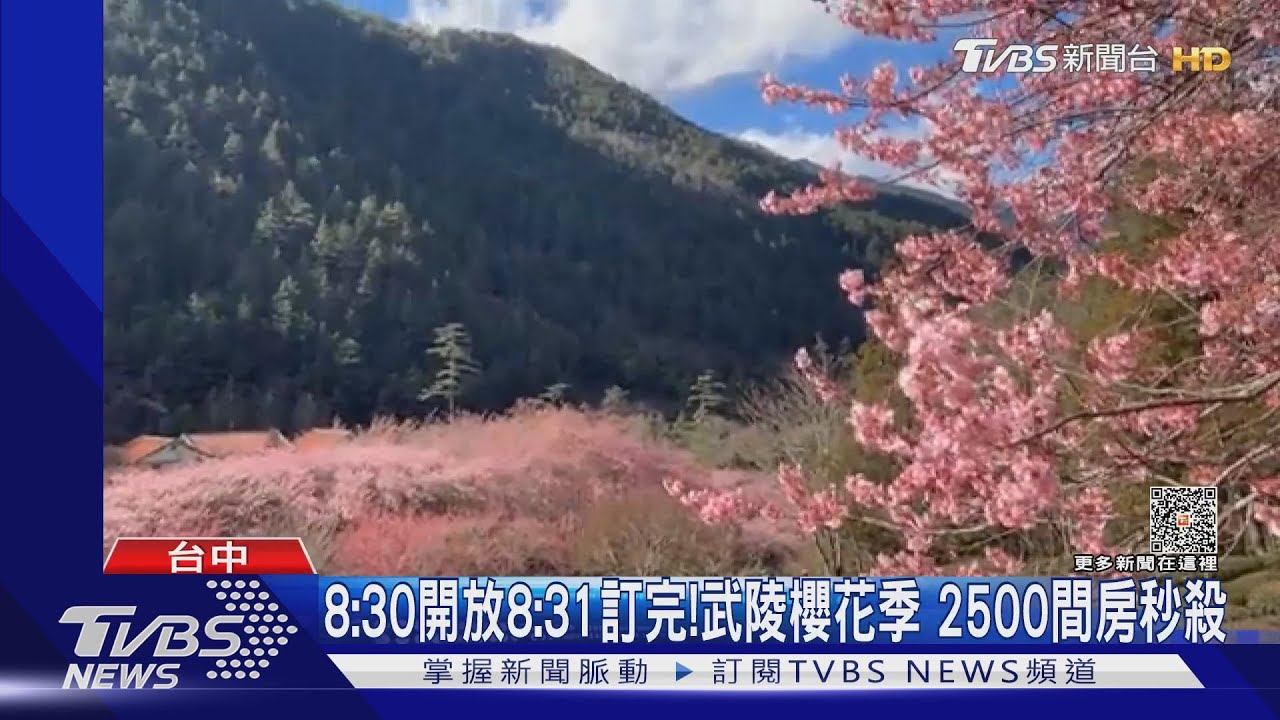 8:30開放8:31訂完!武陵櫻花季2500間房秒殺