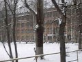 10 ноября Снег в Соколе - стадион (Вологодская область) 