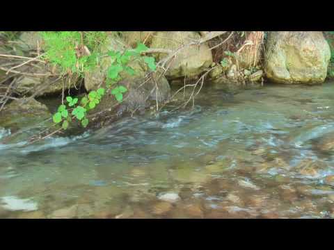 Panasonic 3CCD🌈 camcorder Leica Dicomar 1.8💥lens - Image 2