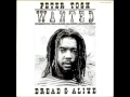 Peter Tosh - Rok With Me