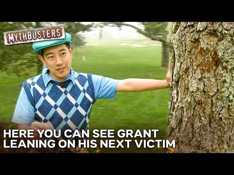If A Tree Really Is 90% Air, Can You Hit A Golf Ball Through It? | MythBusters