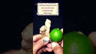 Download lagu fungsi rahasia jahe dan jeruk nipis!! #idekreatif #tutorial #lifehack mp3