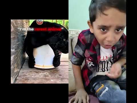 Rarest Animal #animals #horror #funny