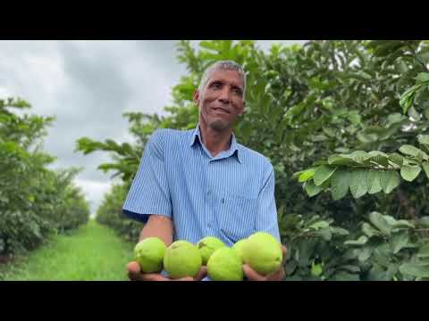 MINAS RURAL 1517 - 13/02-26