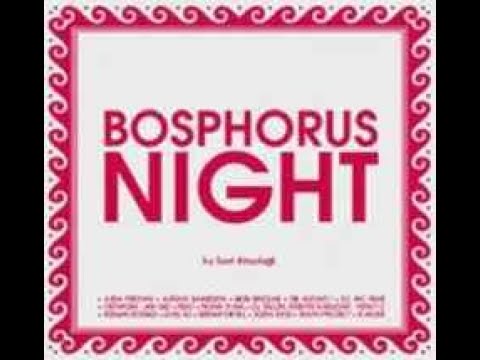 Bosphorus Night - By Suat Atesdagli - 2007