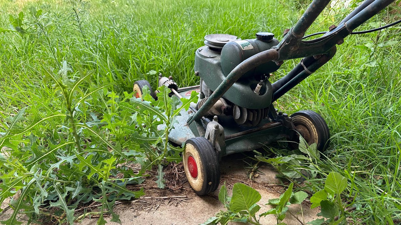 Will this 65 year old Victa mow again