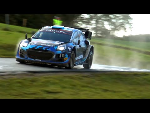 Grégoire Munster / Louis Louka | Ford Puma Rally1 | Central European Rally 2023