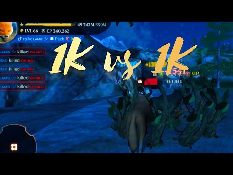 The Wolf - War of the 1Ks | Denning time | toxiclamb