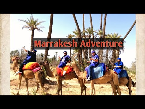 Camel Riding in Palmeraie Marrakech Morocco