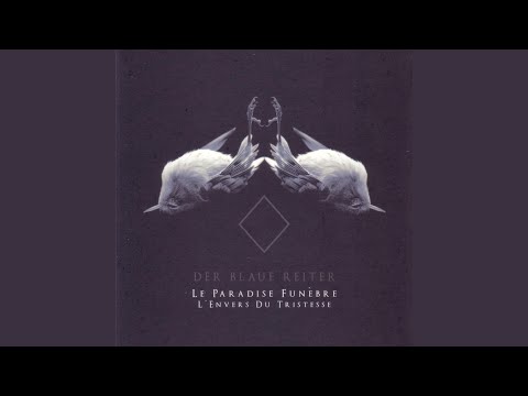 The Return Of The Light